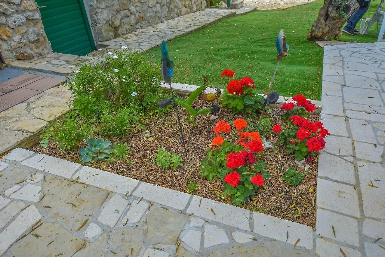 House Roko Villa Tkon Holiday home